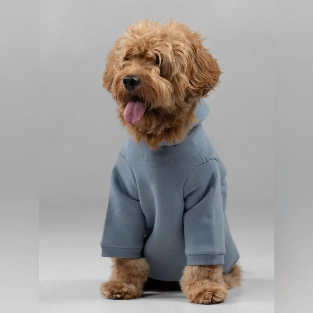NO OFFERS BNWT Comfrt Signature Paw Hoodie 6XL Sky